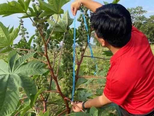 1694411262170385.jpg 微信圖片_20230911134733.jpg